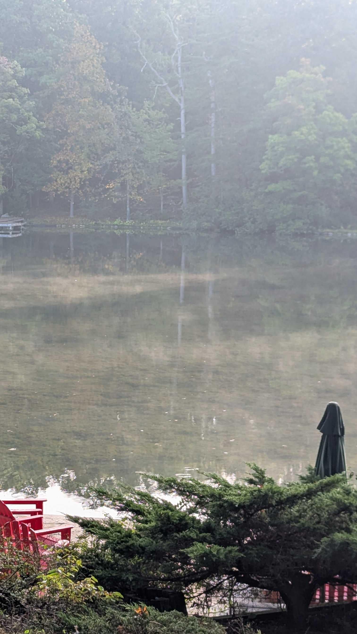 View of the lake from the backyard /driveway area