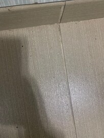 Bathroom with the black ants