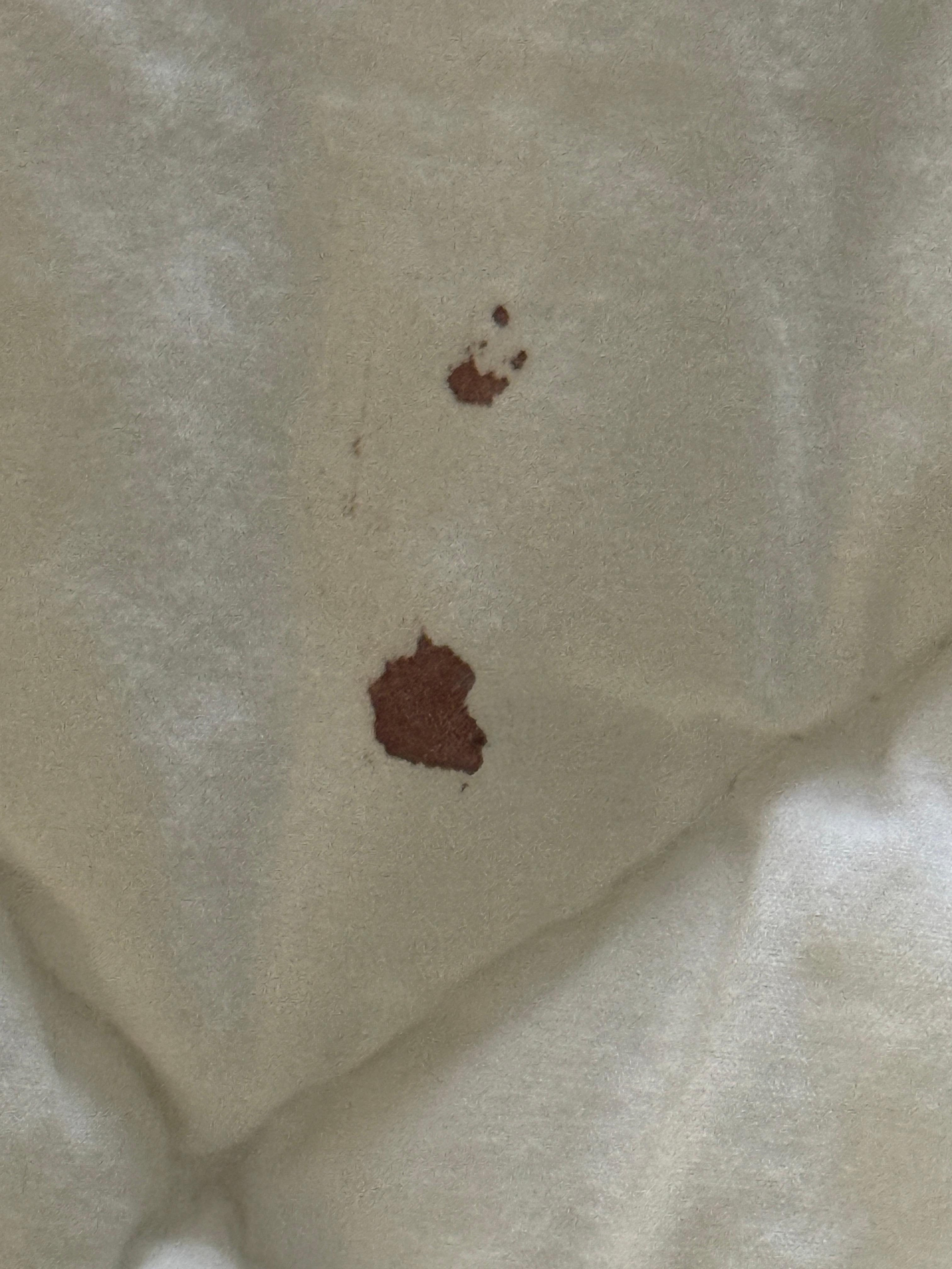 More blood stains