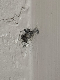 Mold on the bathroom walls