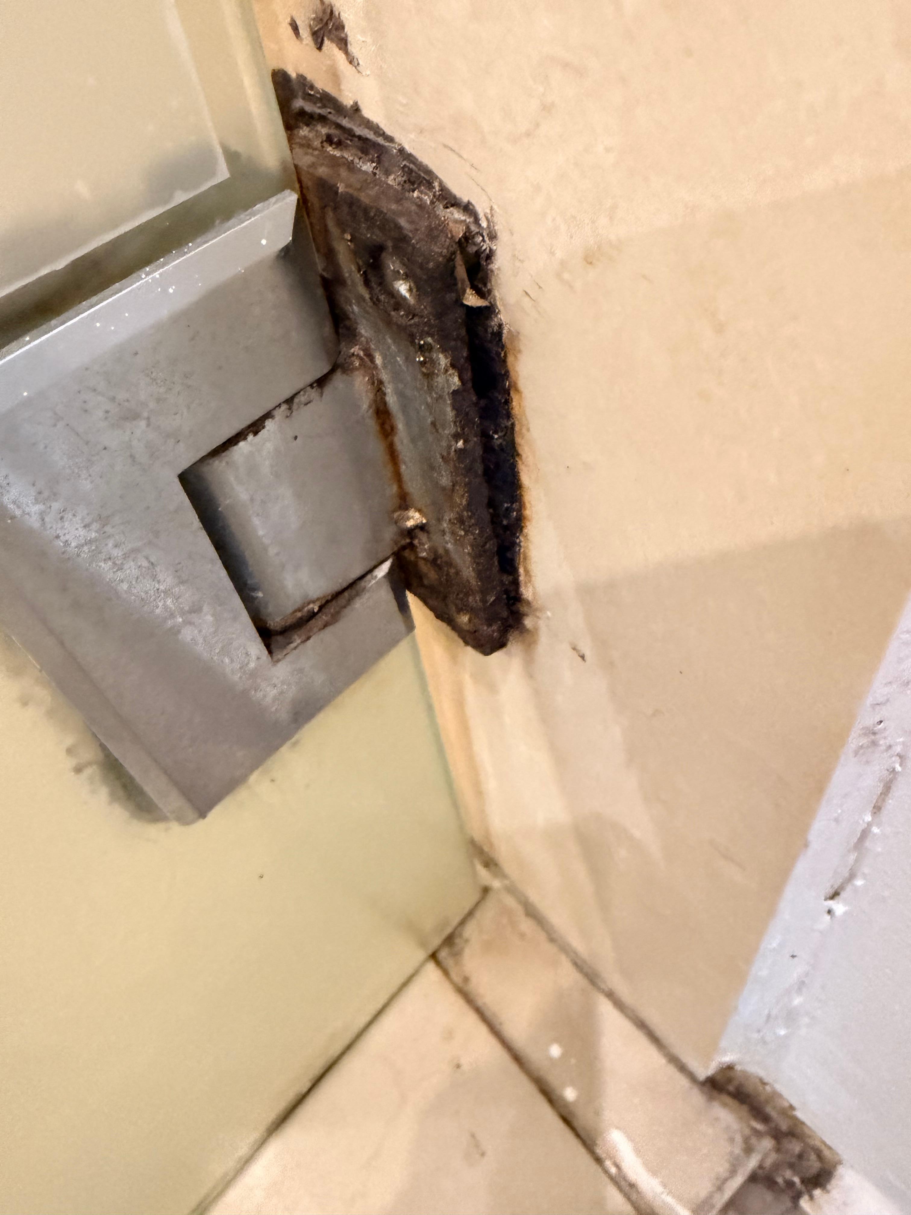More gross mold
