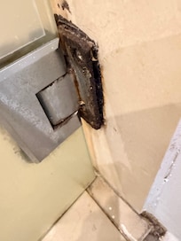 More gross mold