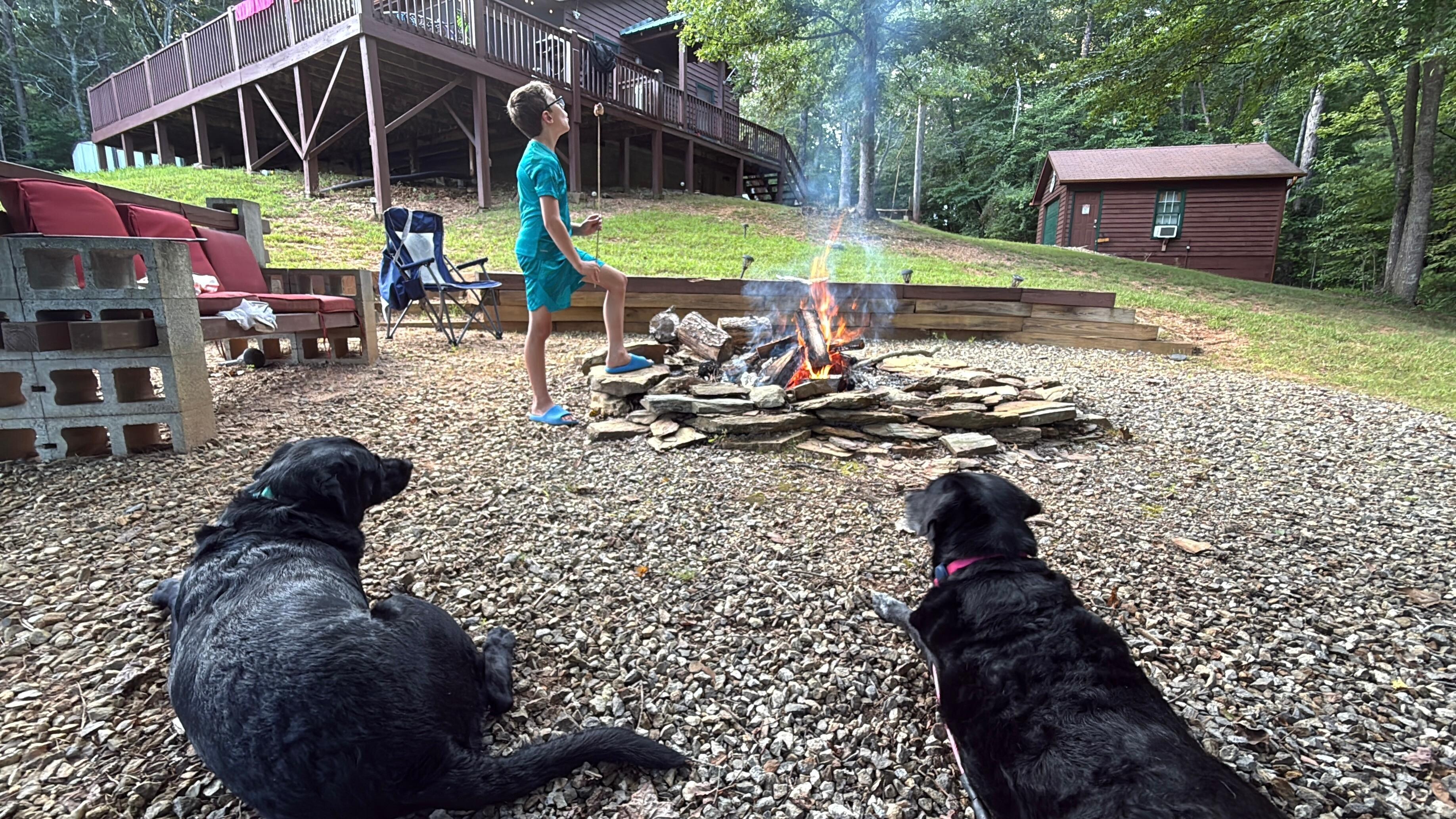 From the fire pit - it’s nicely nestled in the shade! 