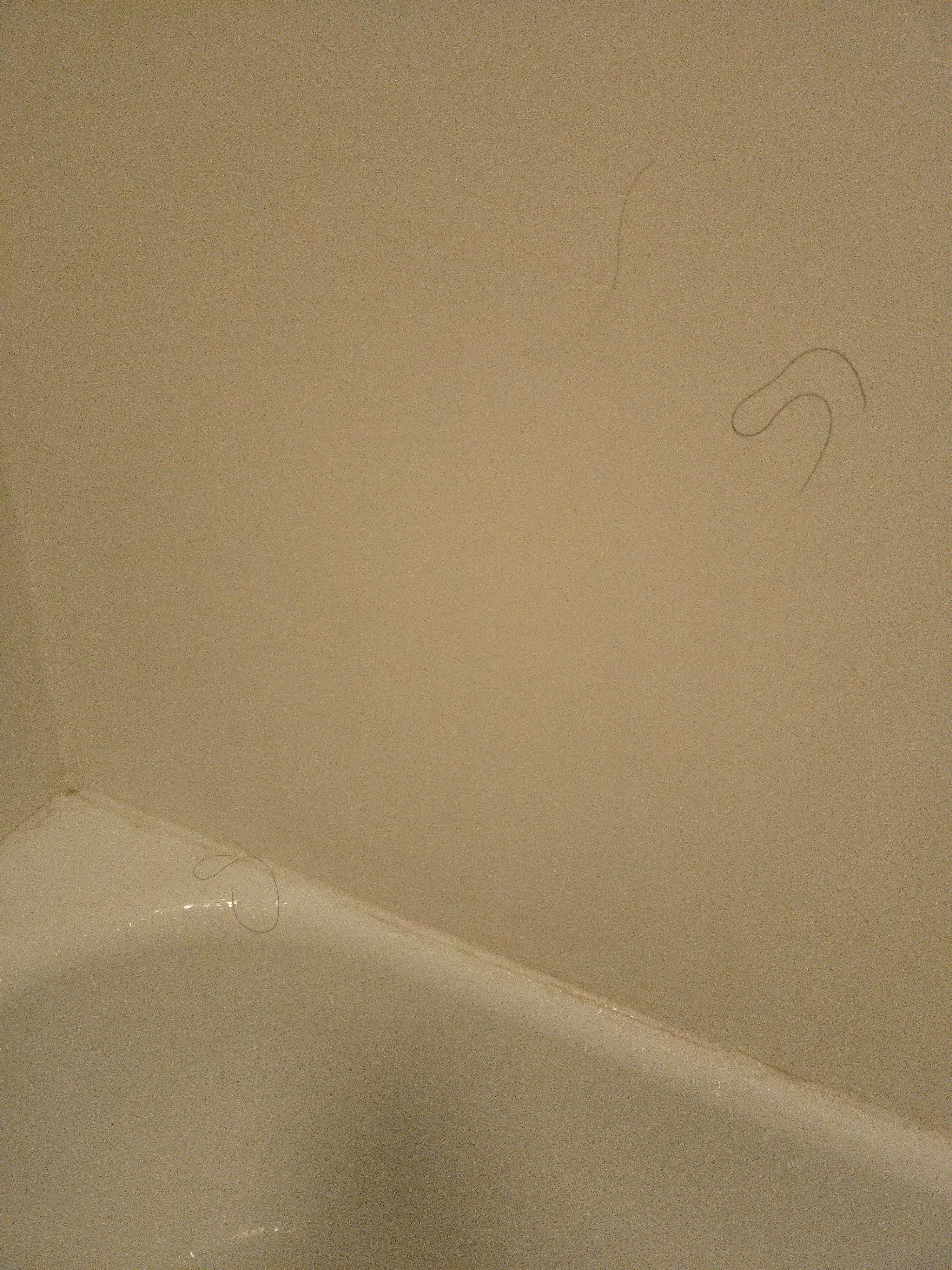 Hair in the bathroom