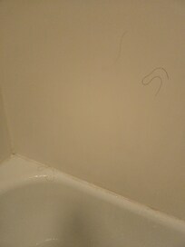 Hair in the bathroom