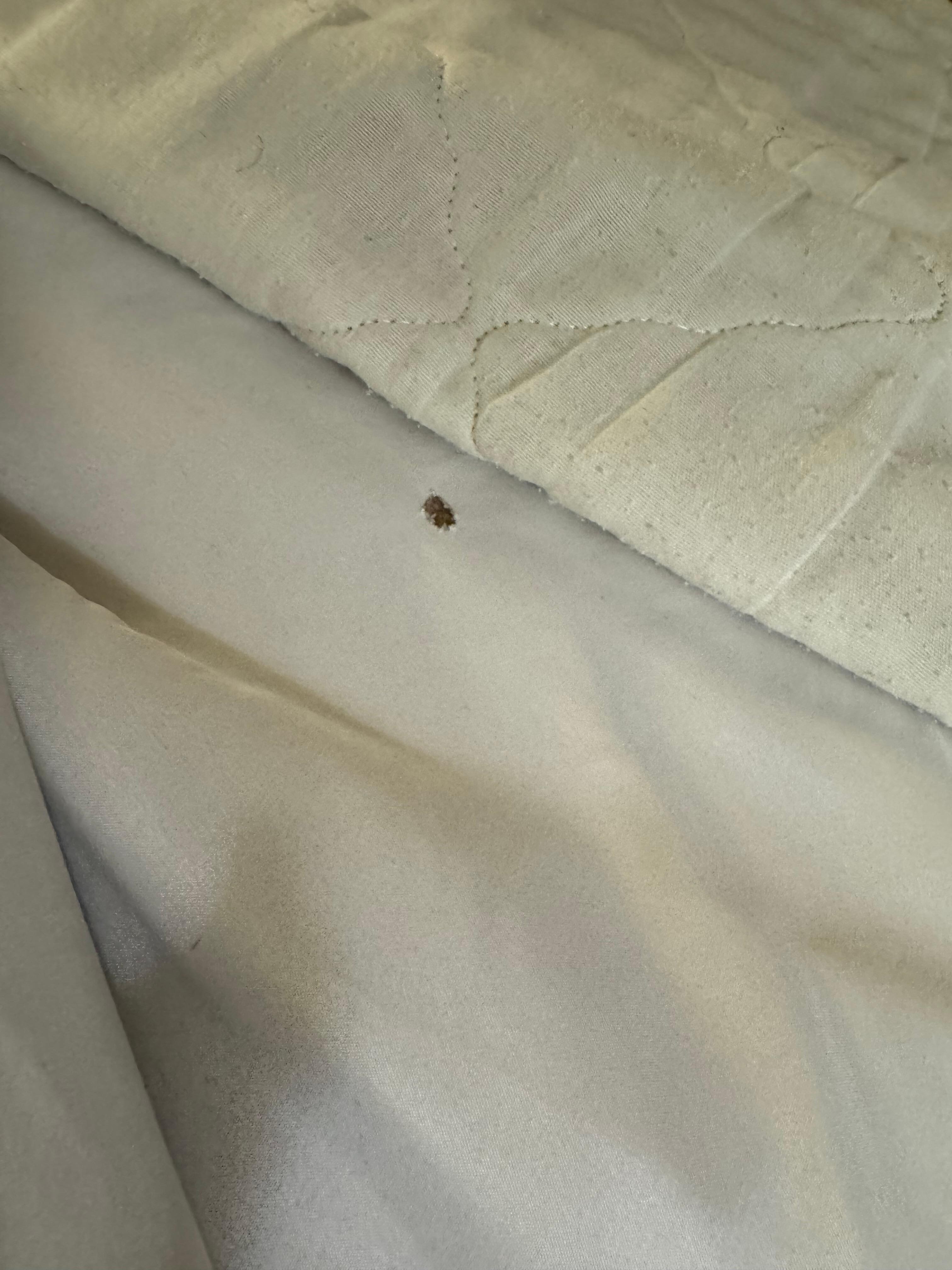Dirty linen