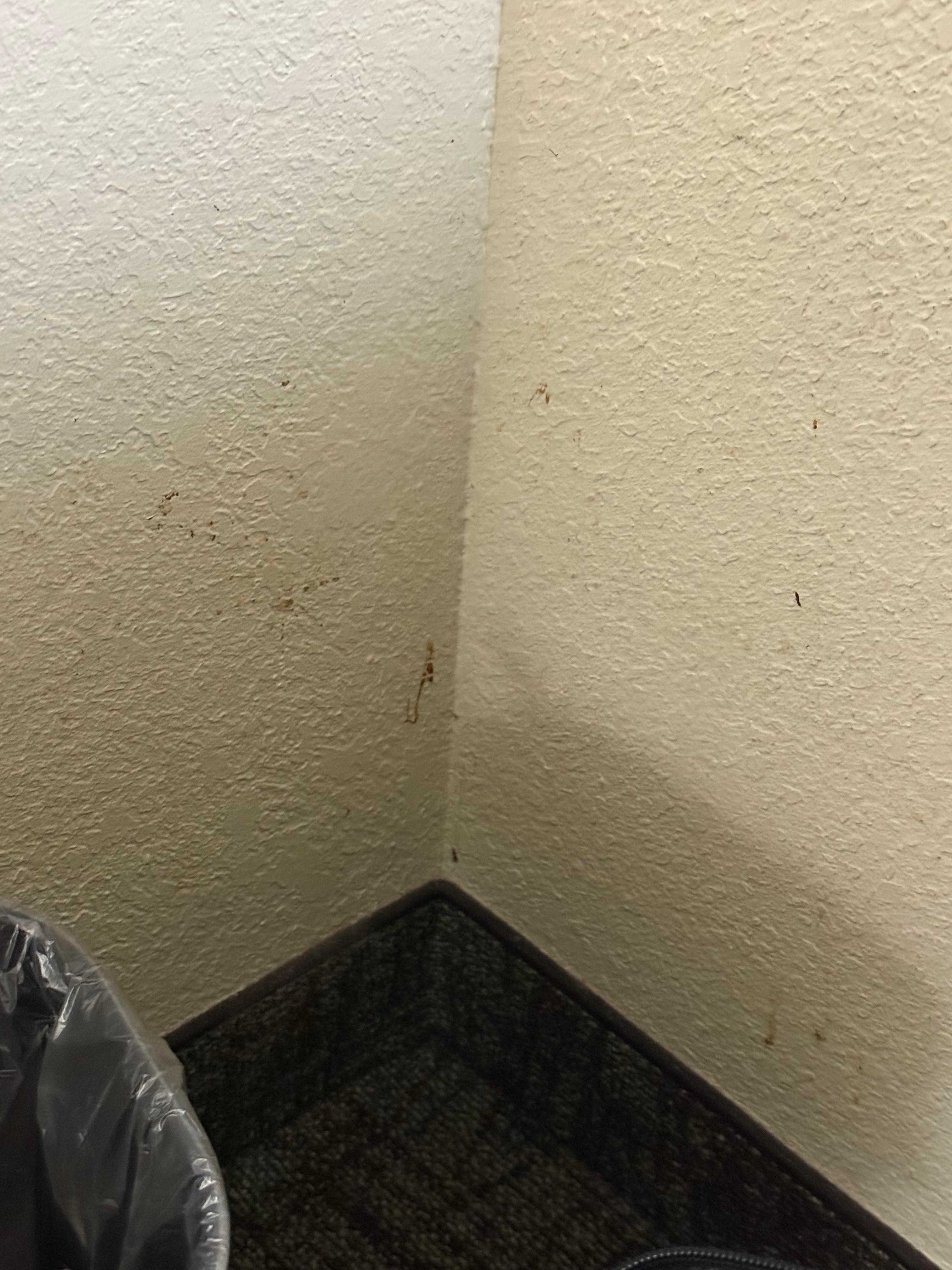 Unknown substances on the walls