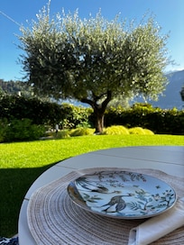 View from patio at breakfast