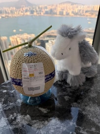 Our new little friend Harry the horse complement of the East
