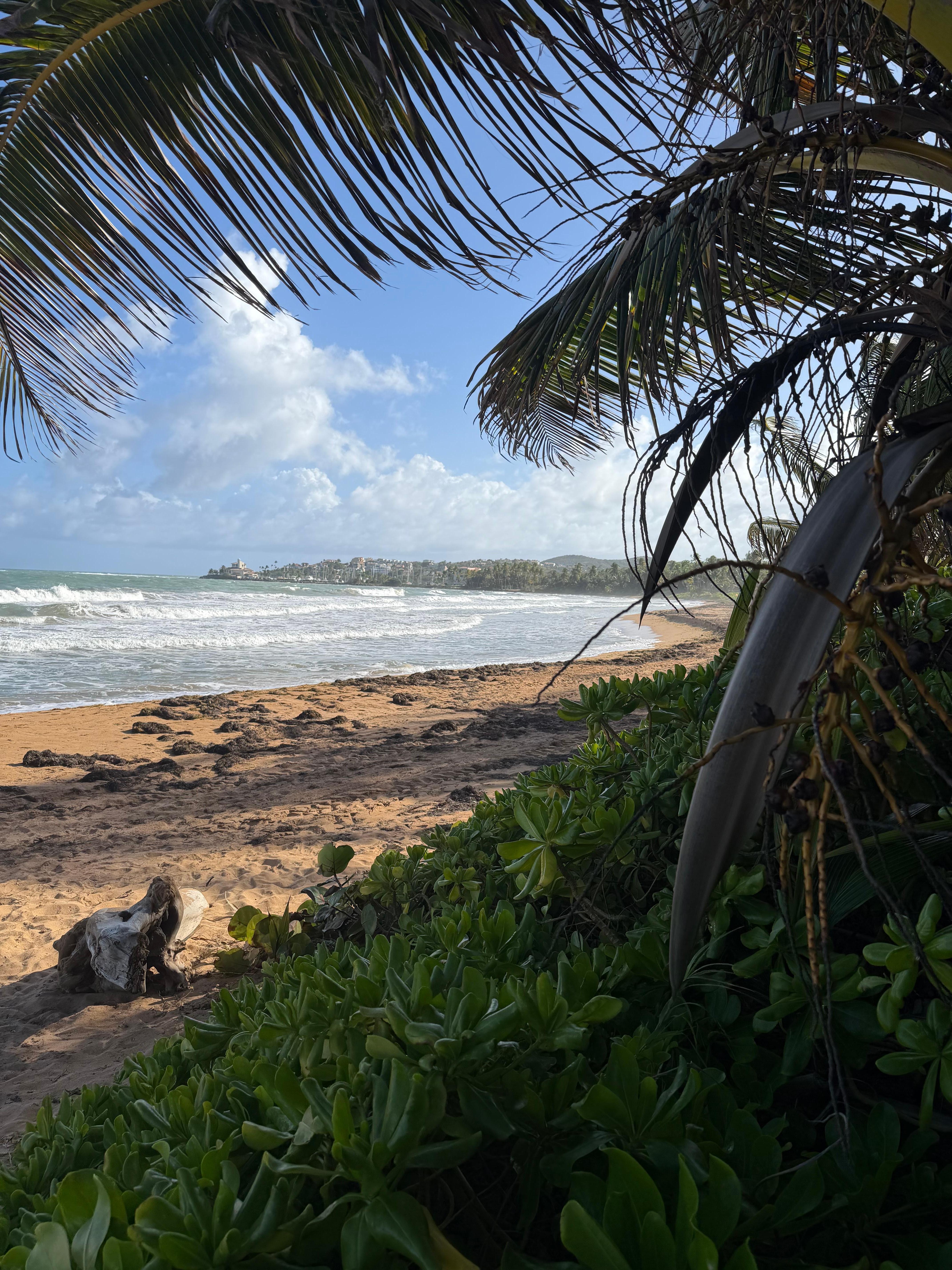 This is the view of the beach that’s walking distance from the apartment.