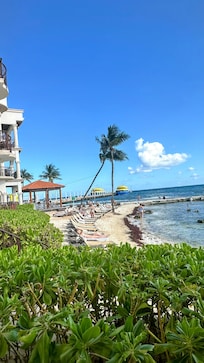 The private beach for resort. This is the whole beach for resort.