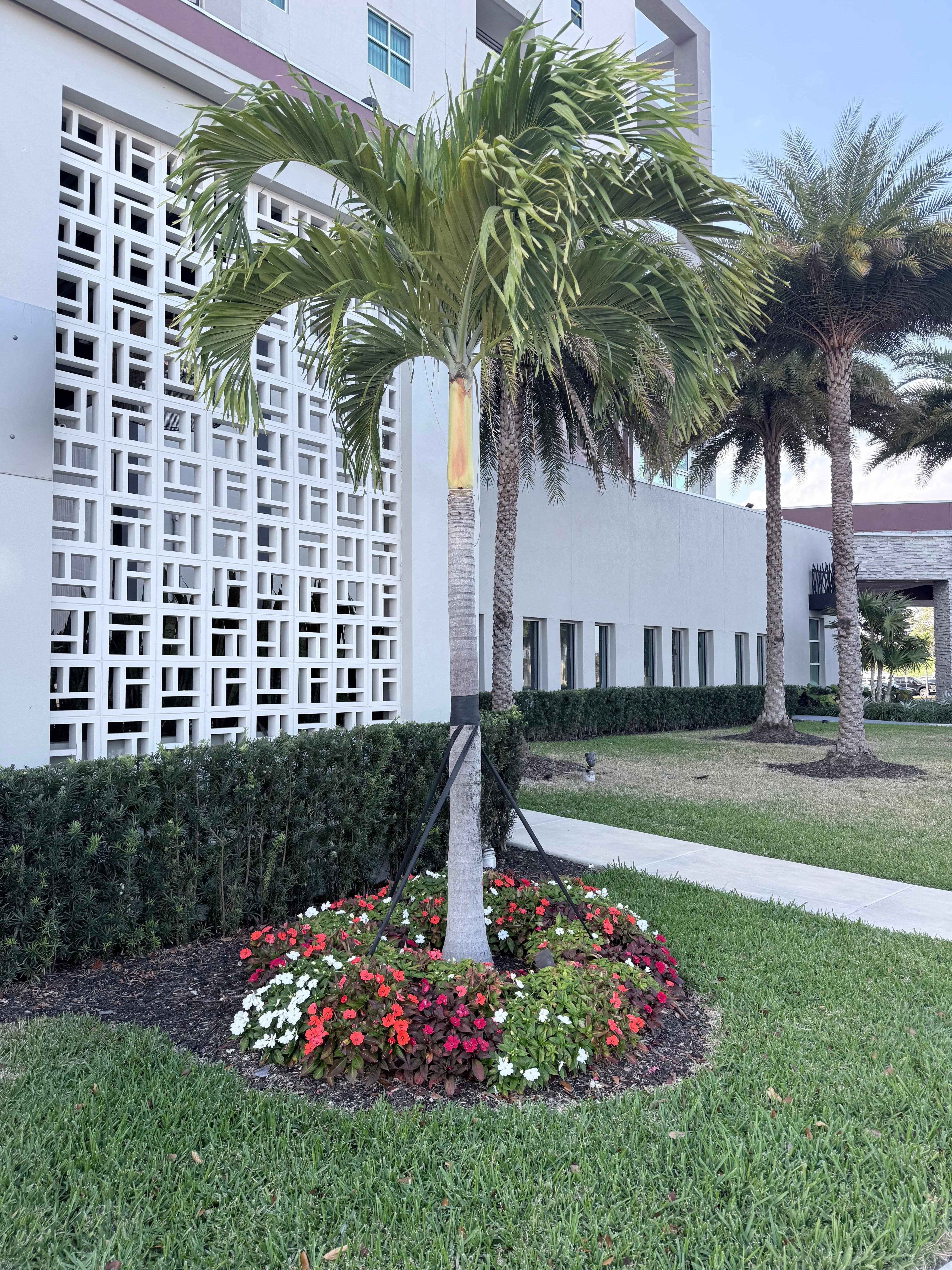 Beautifully landscaped 