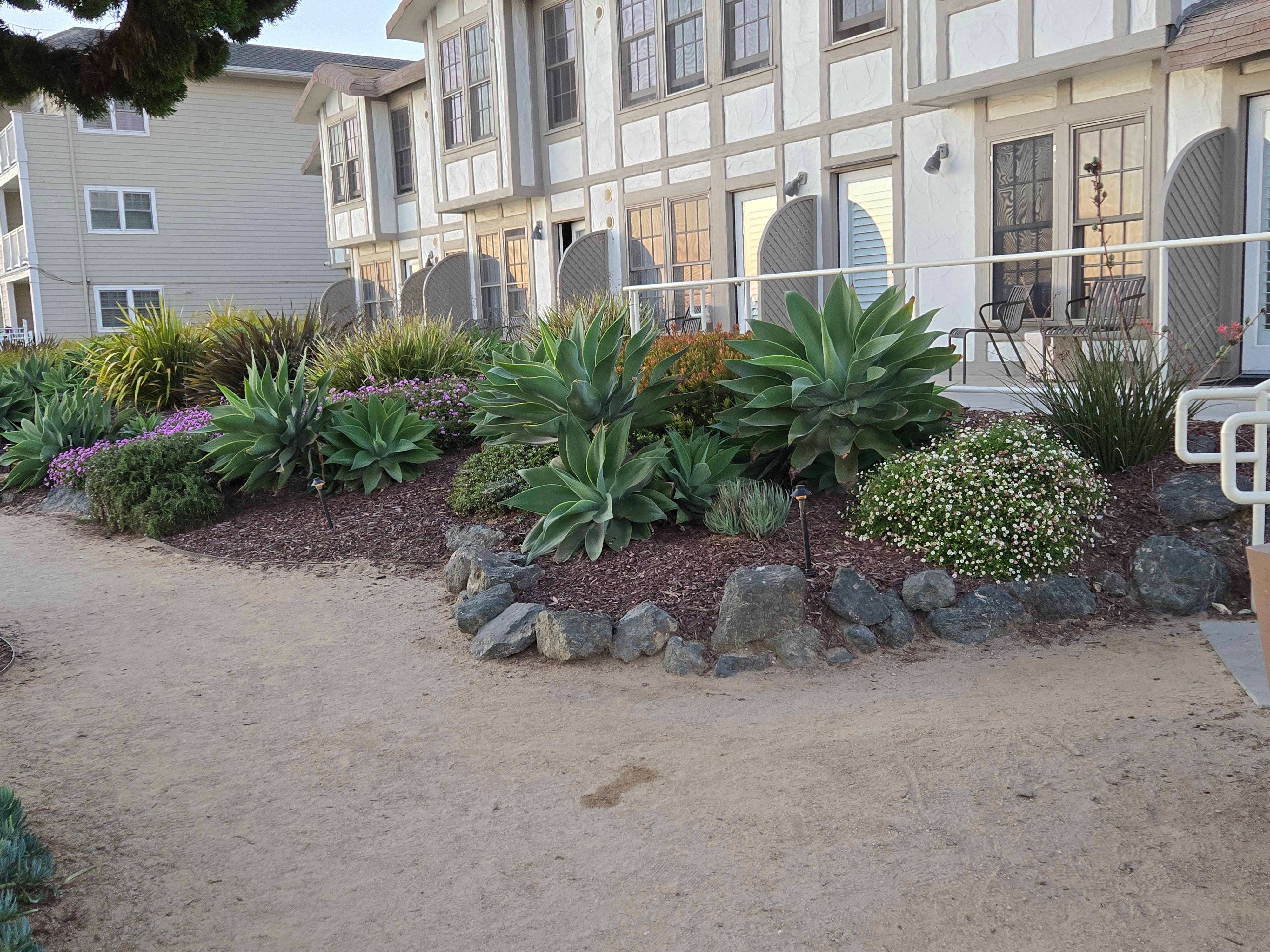 View of the oceanside cottages