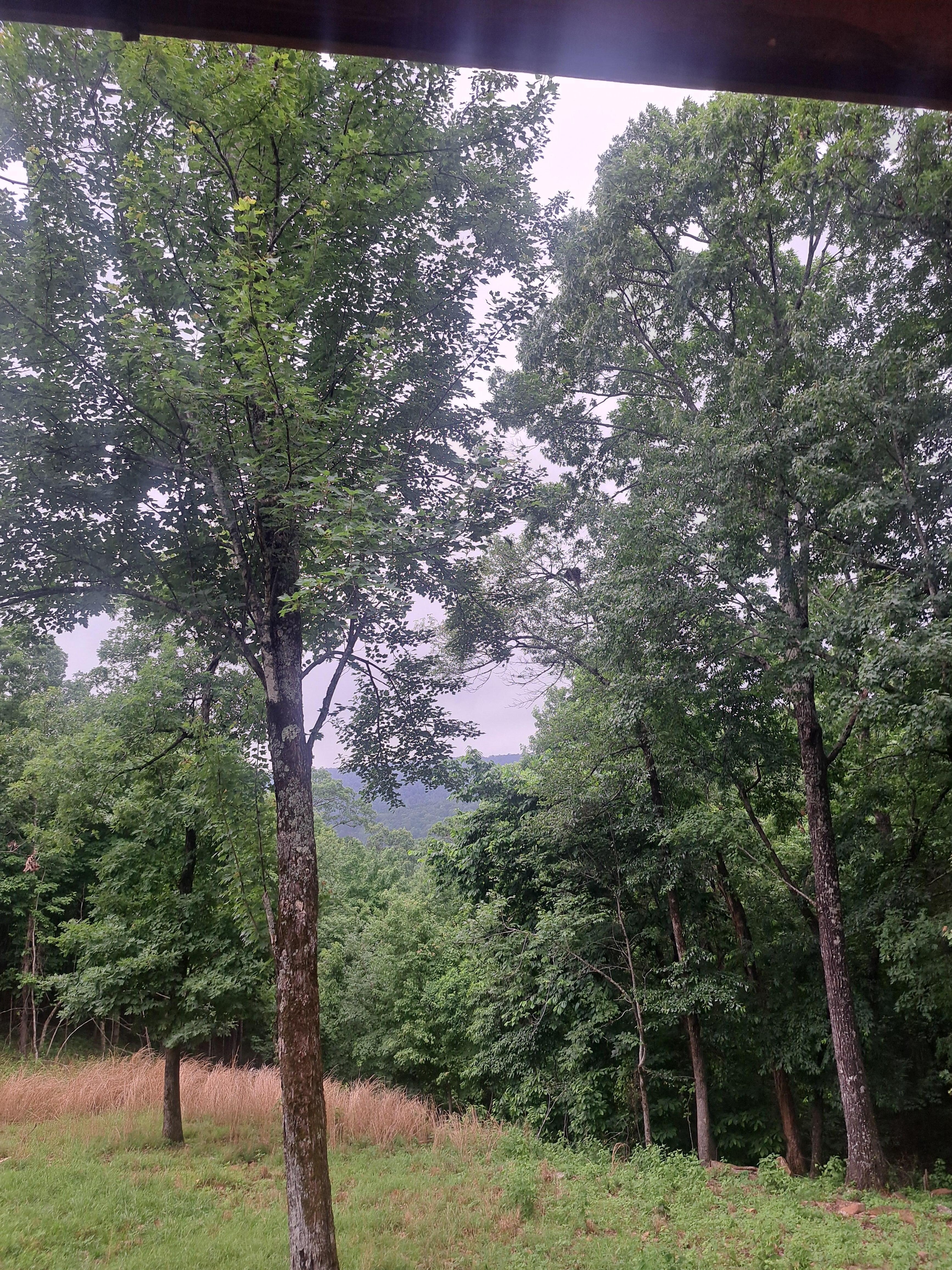Beautiful view from the Cottage.