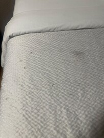 Bed 🤦♂️