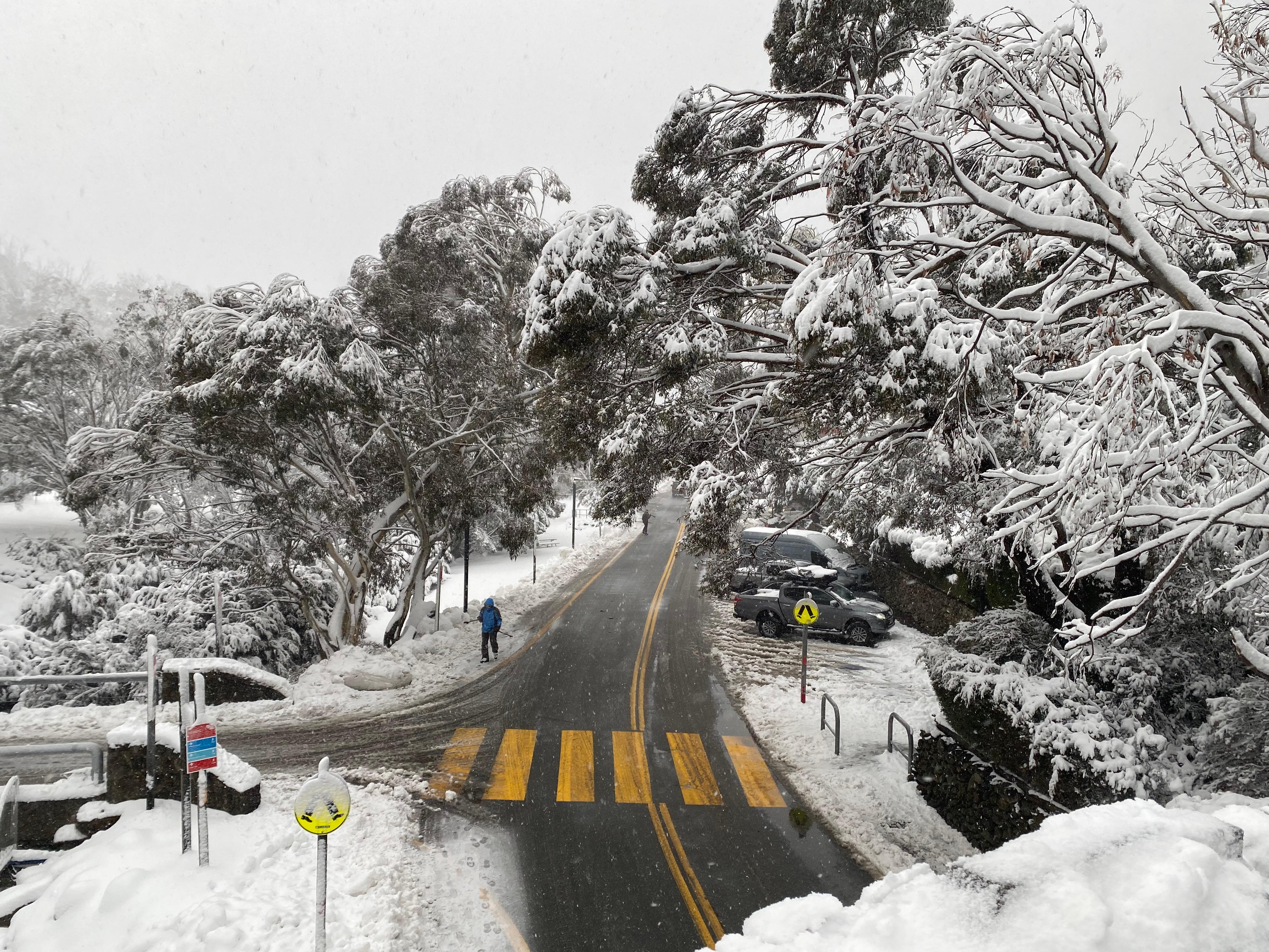View from the bridge in Thredbo 