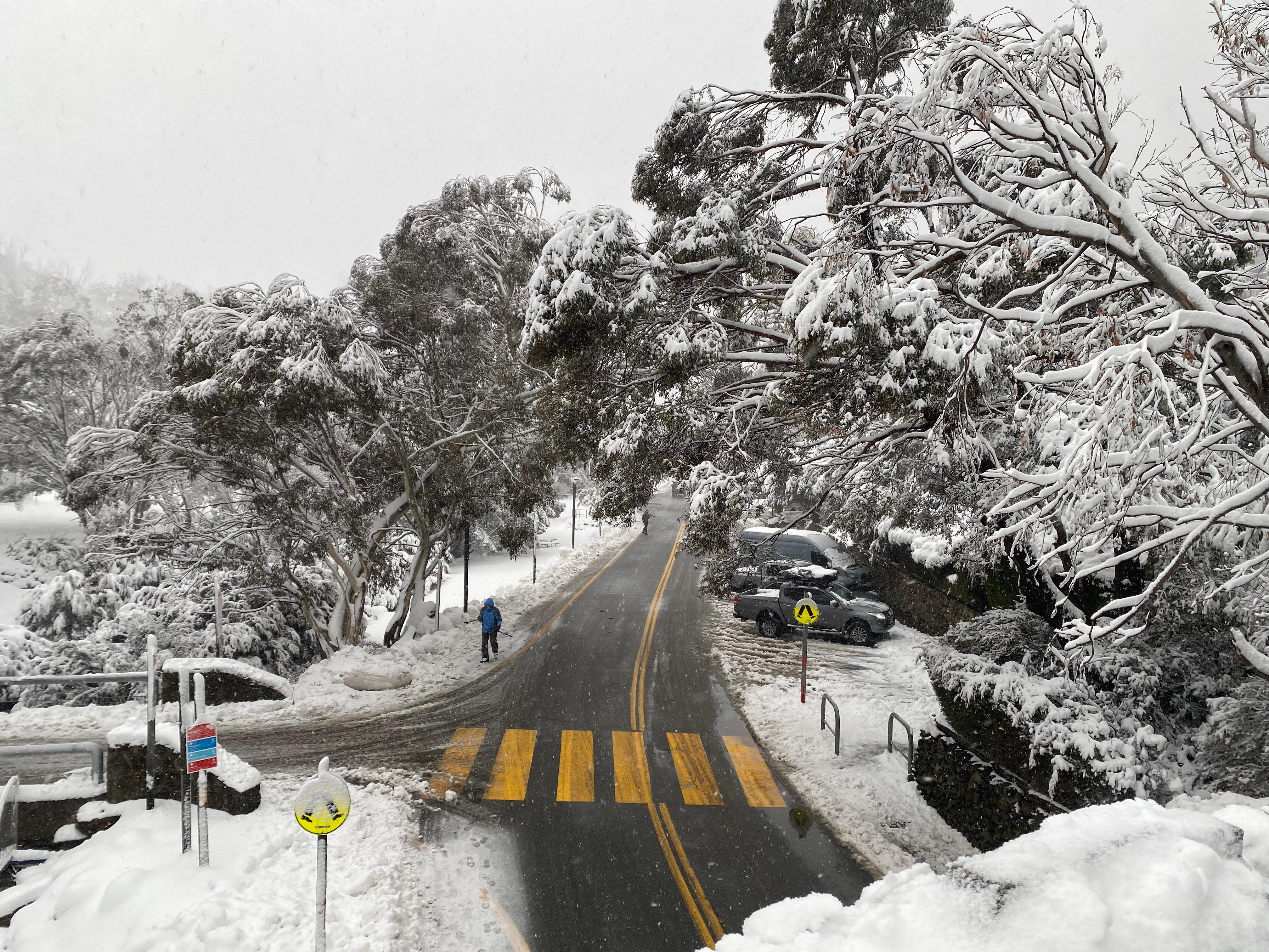 View from the bridge in Thredbo 