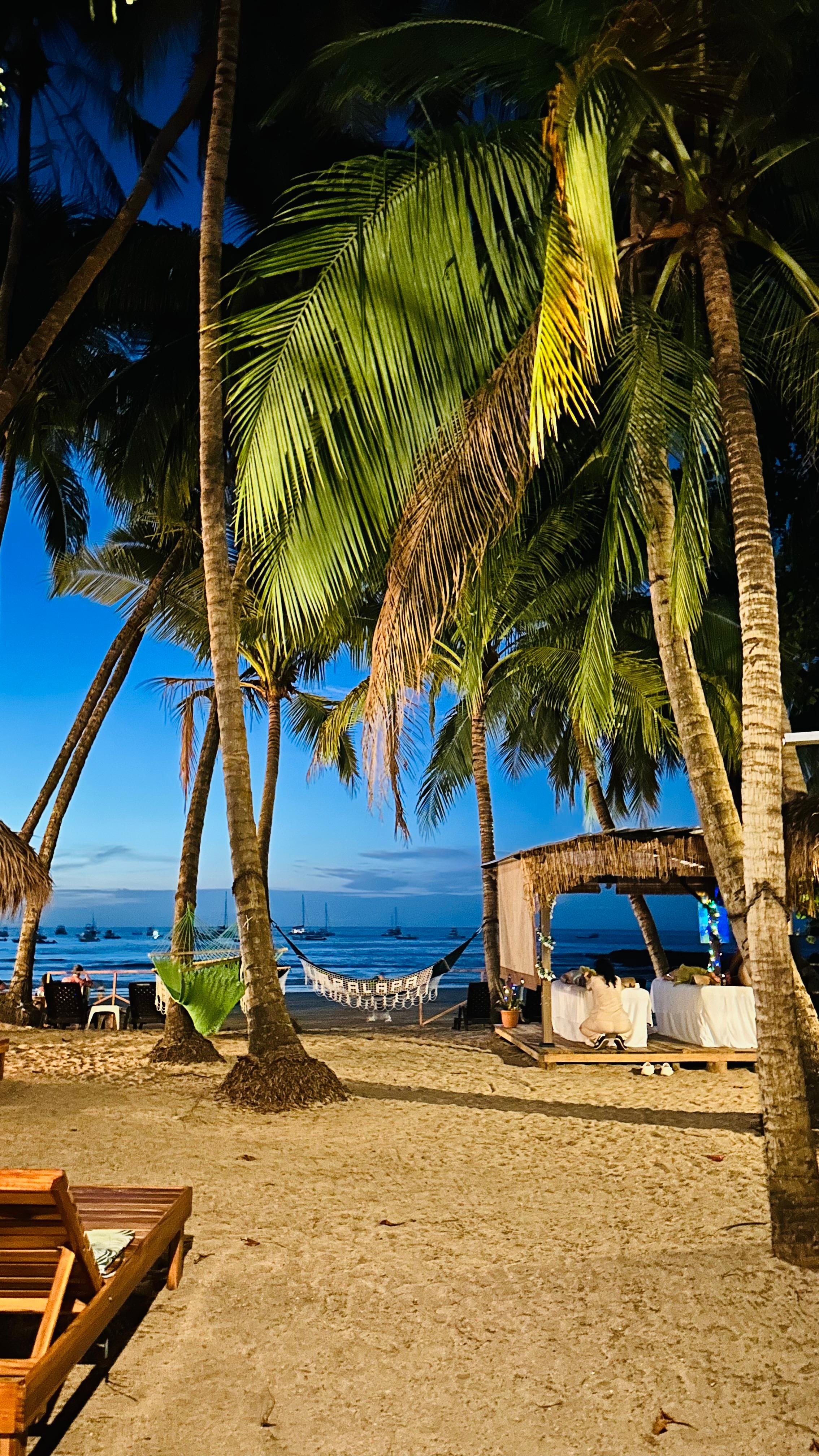 View from the patio of the room