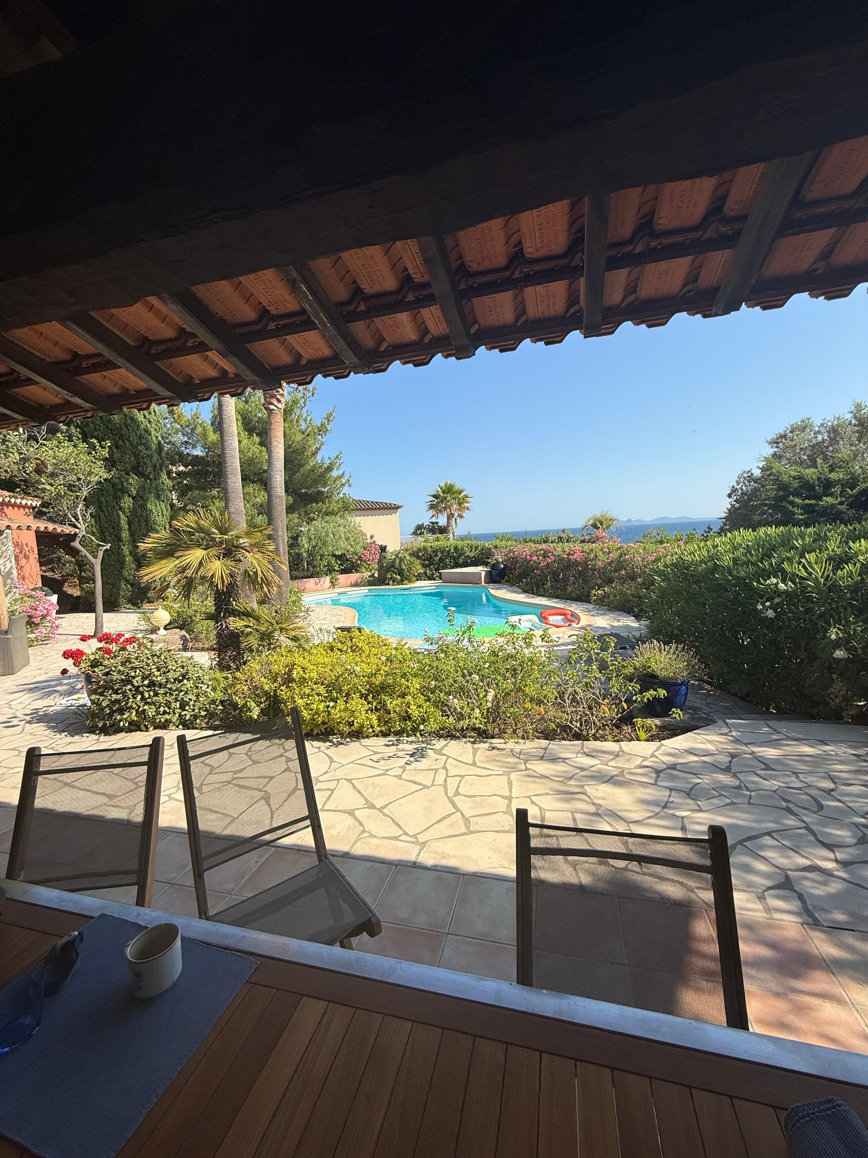 Terrace and pool by day