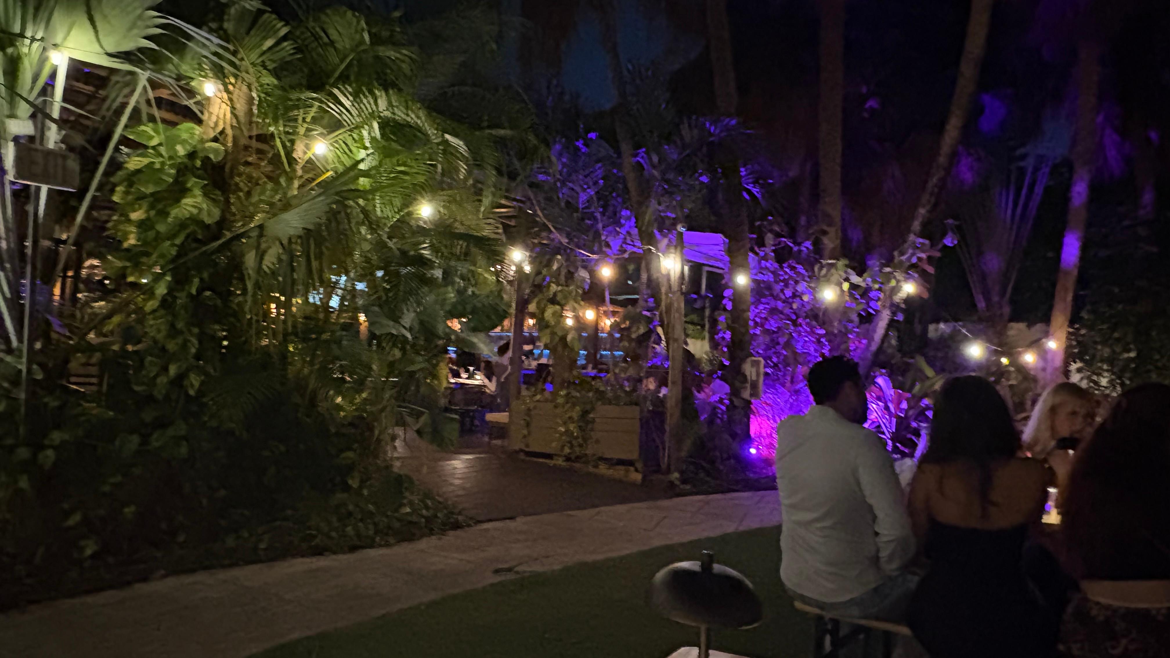 Beautiful lights around the property