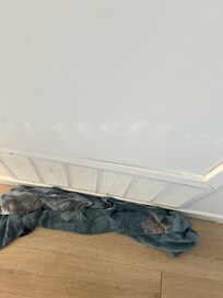 Damage to door from leak