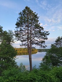 View of the lake from the deck