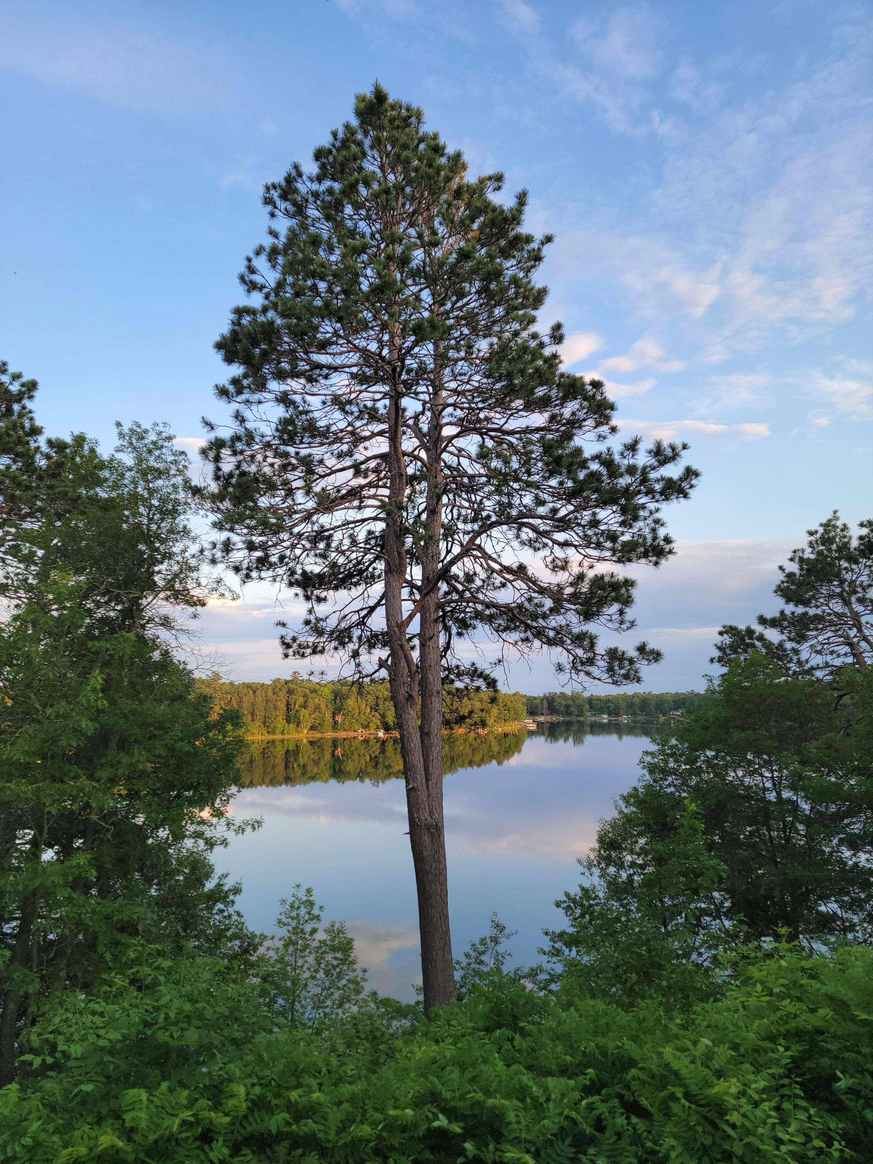 View of the lake from the deck