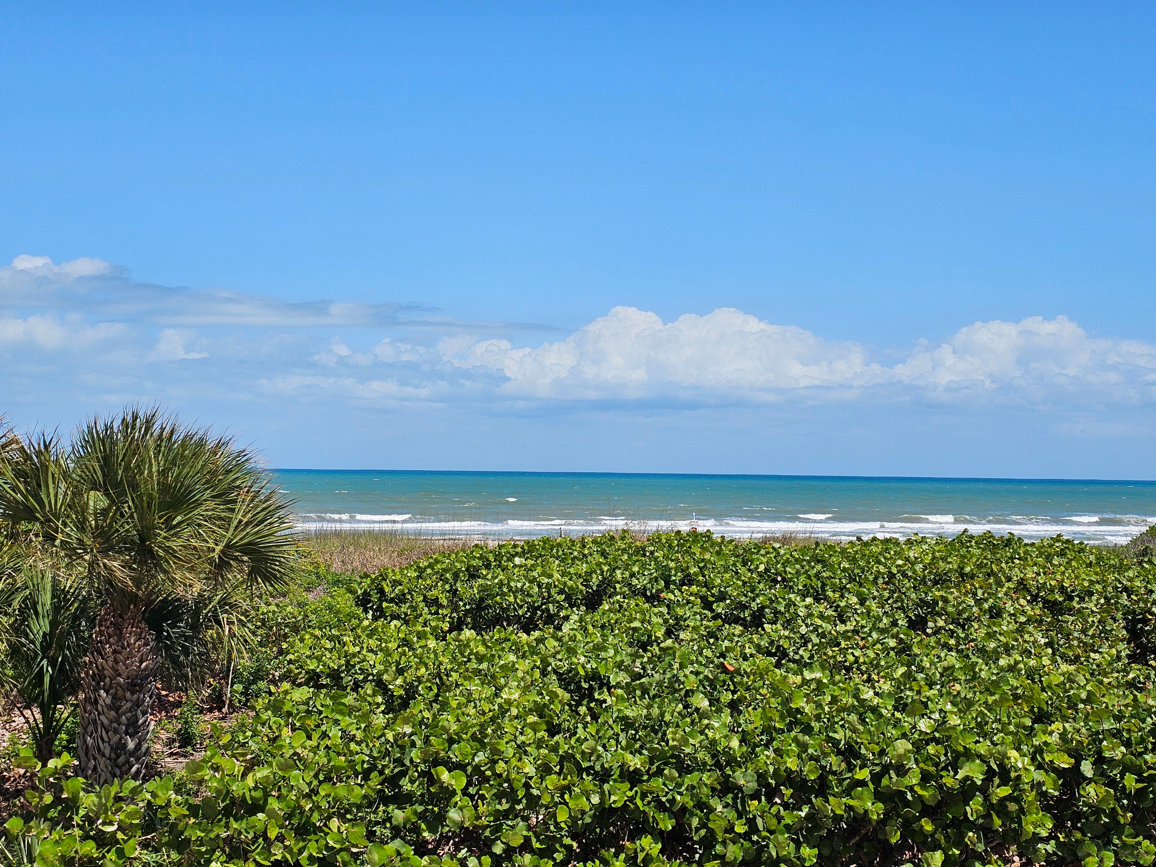 View from Balcony