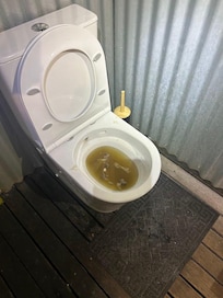 Blocked toilet. Horrible smell wafting into living area