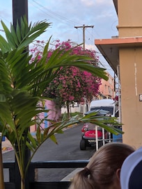 Scenery was beautiful