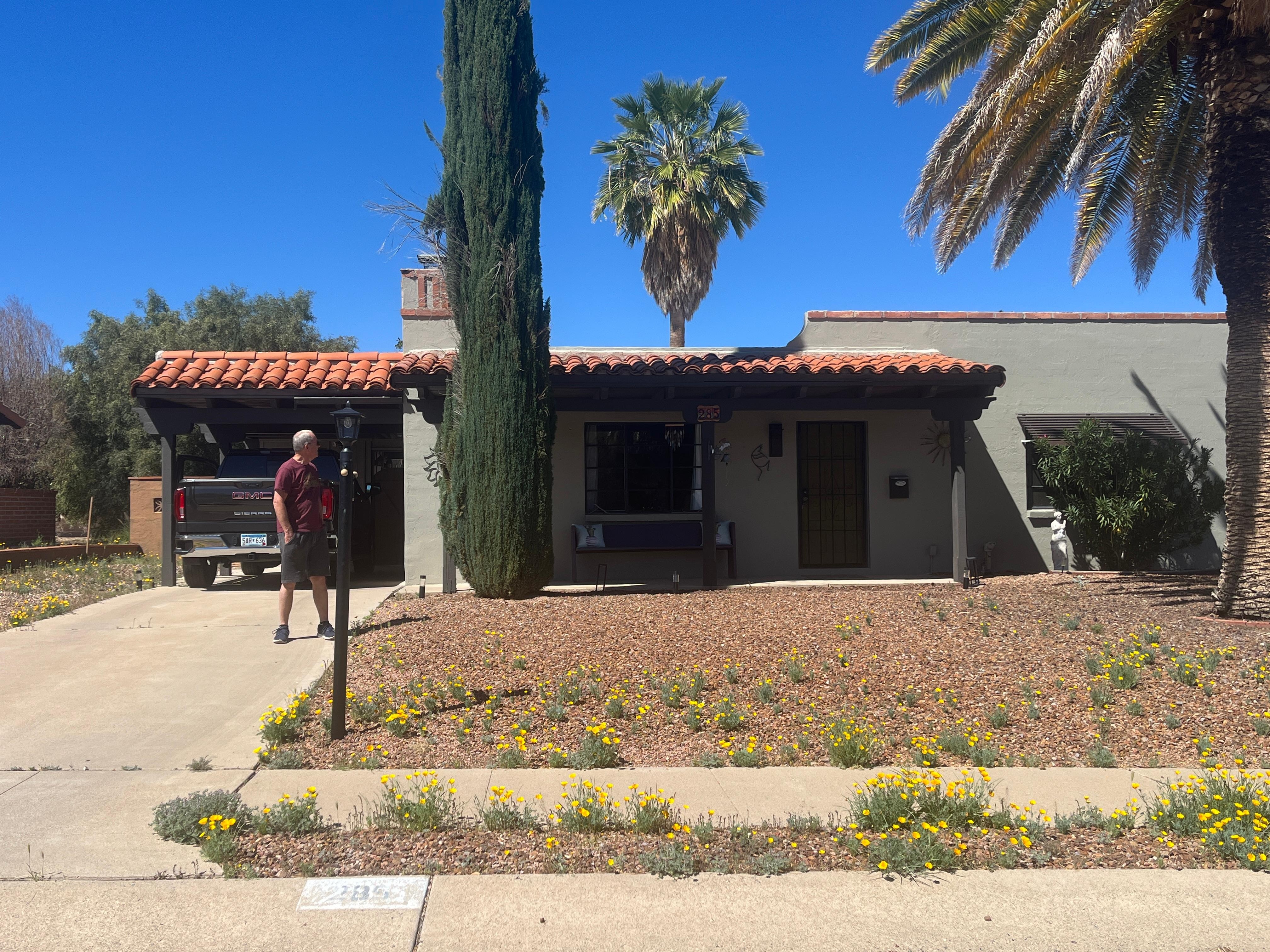 The front yard was pretty with the California poppies in bloom