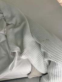 disgusting bedding