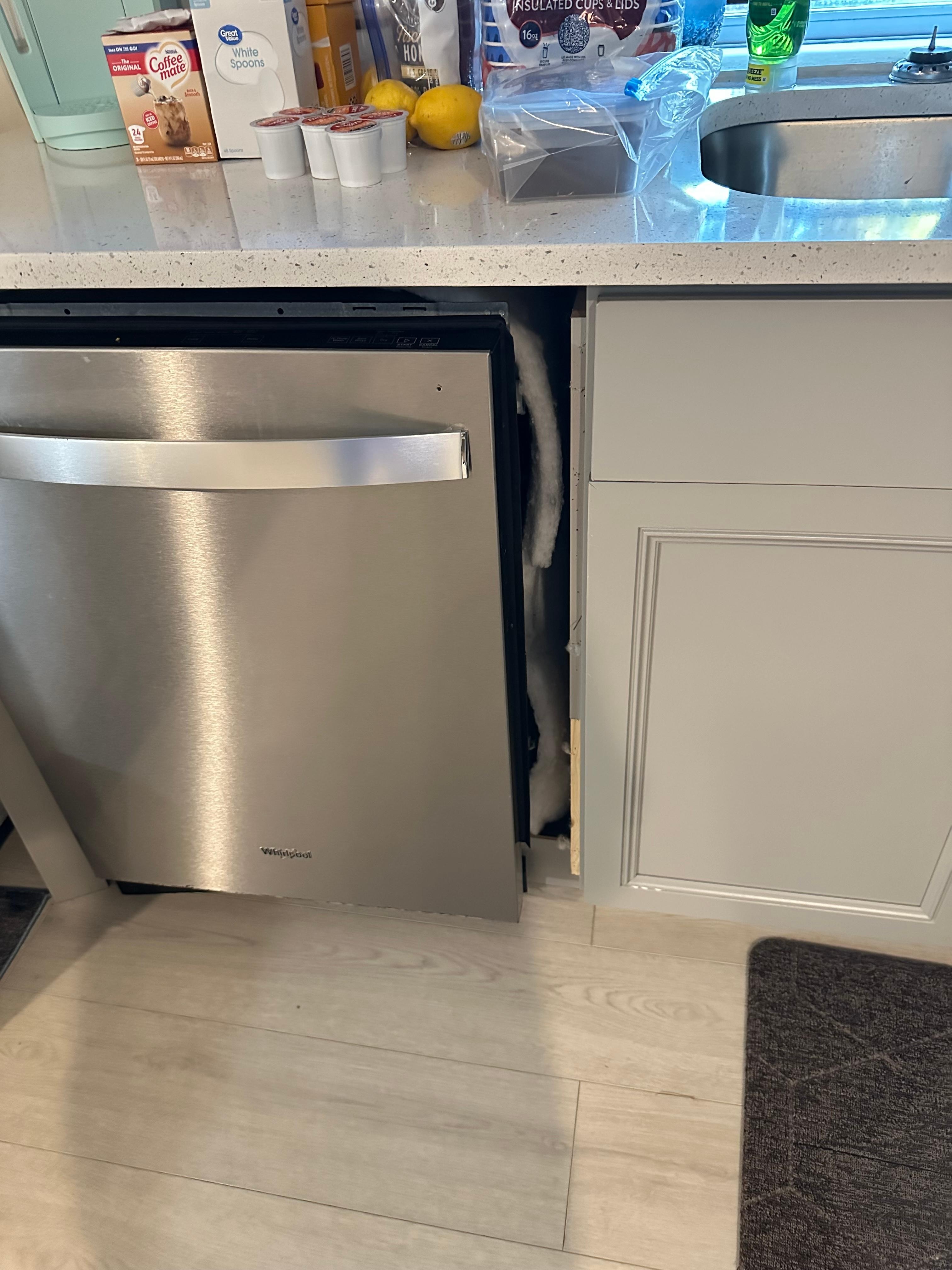 Another view of the dishwasher