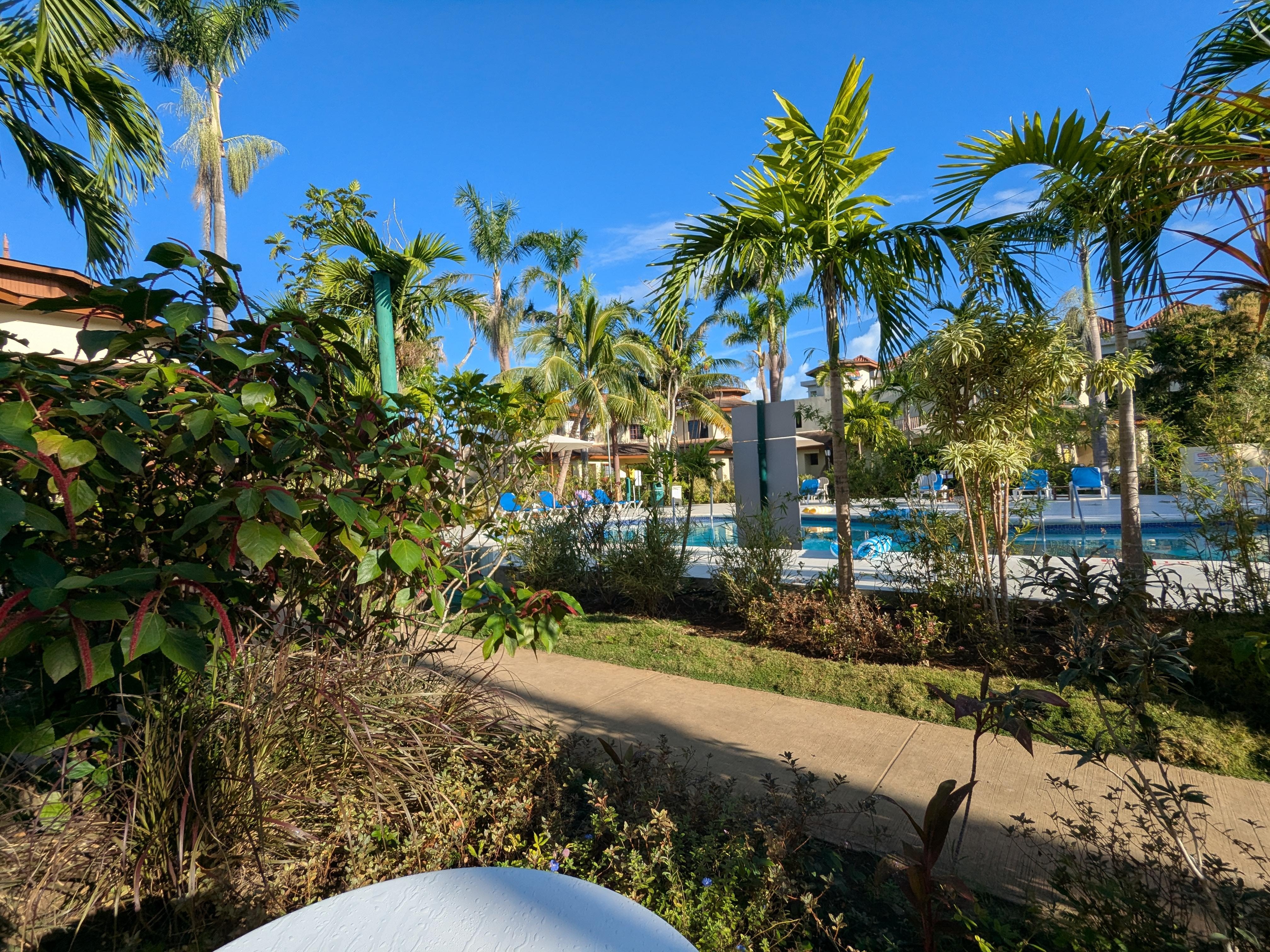 View from my outside sitting area.