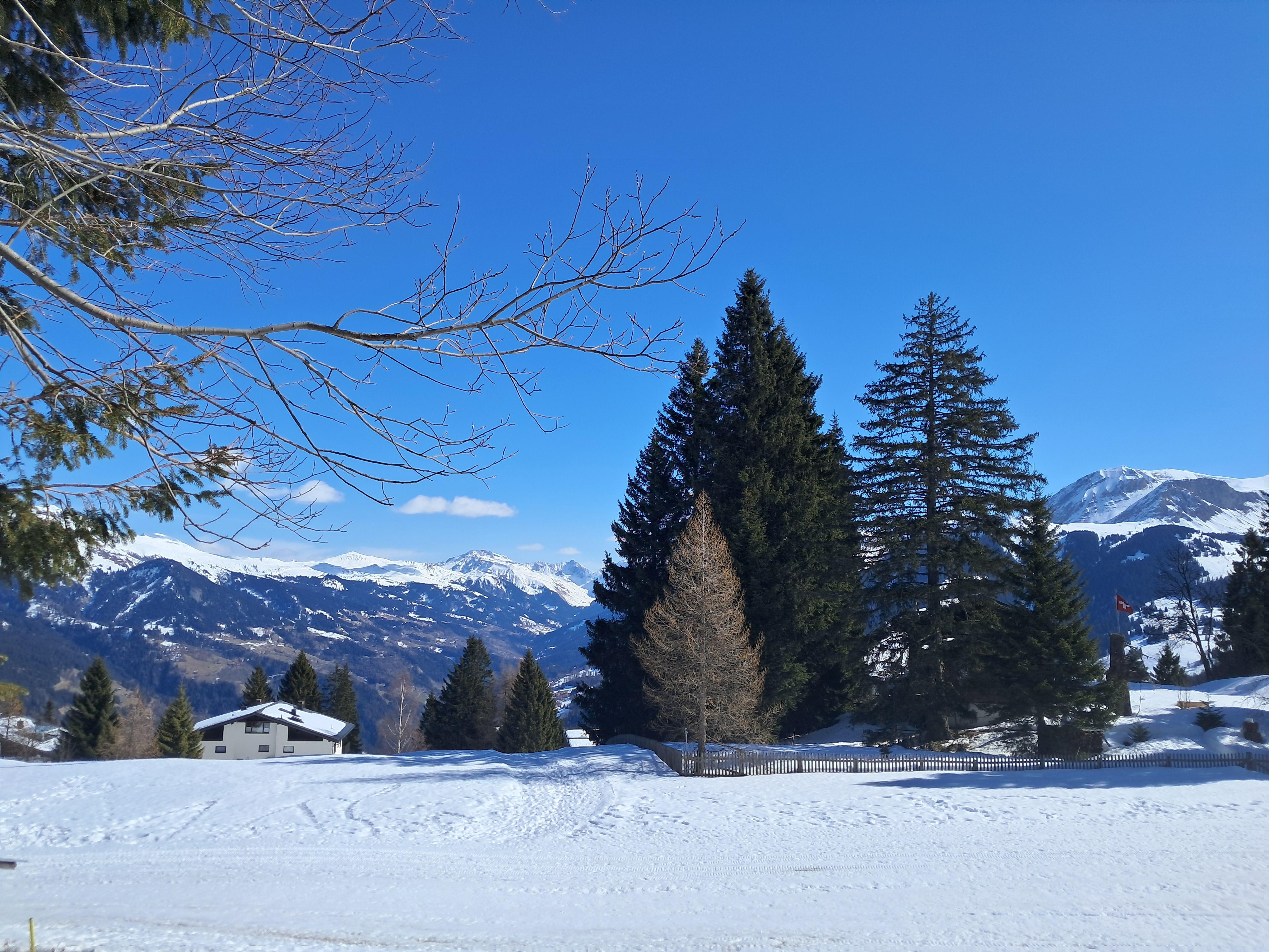 View from the top of the mountain 