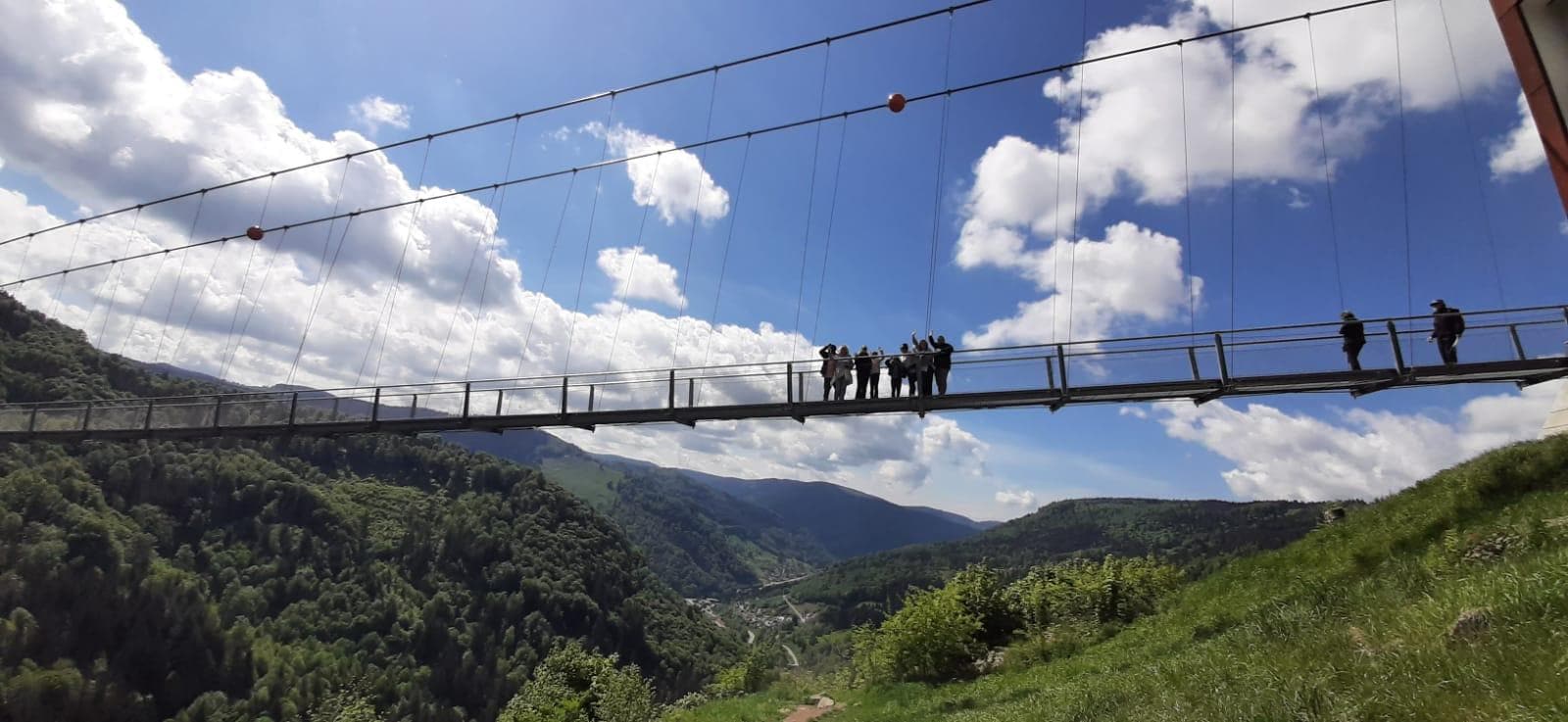 Zur Blackforestline kann man hinlaufen! Tolles Erlebnis!