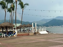 Patio view