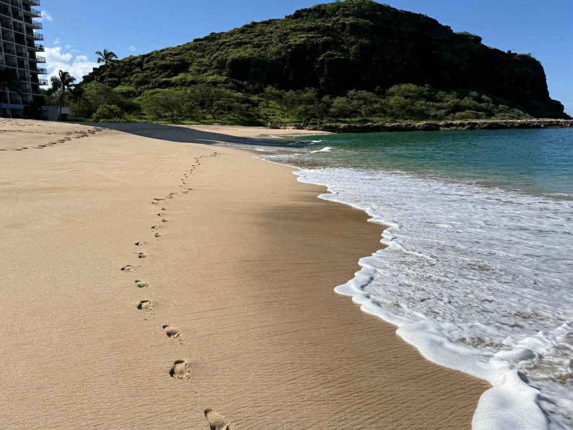 a morning walk on the beach