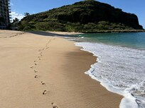 a morning walk on the beach