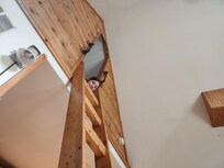 Madison obsessed with the loft!