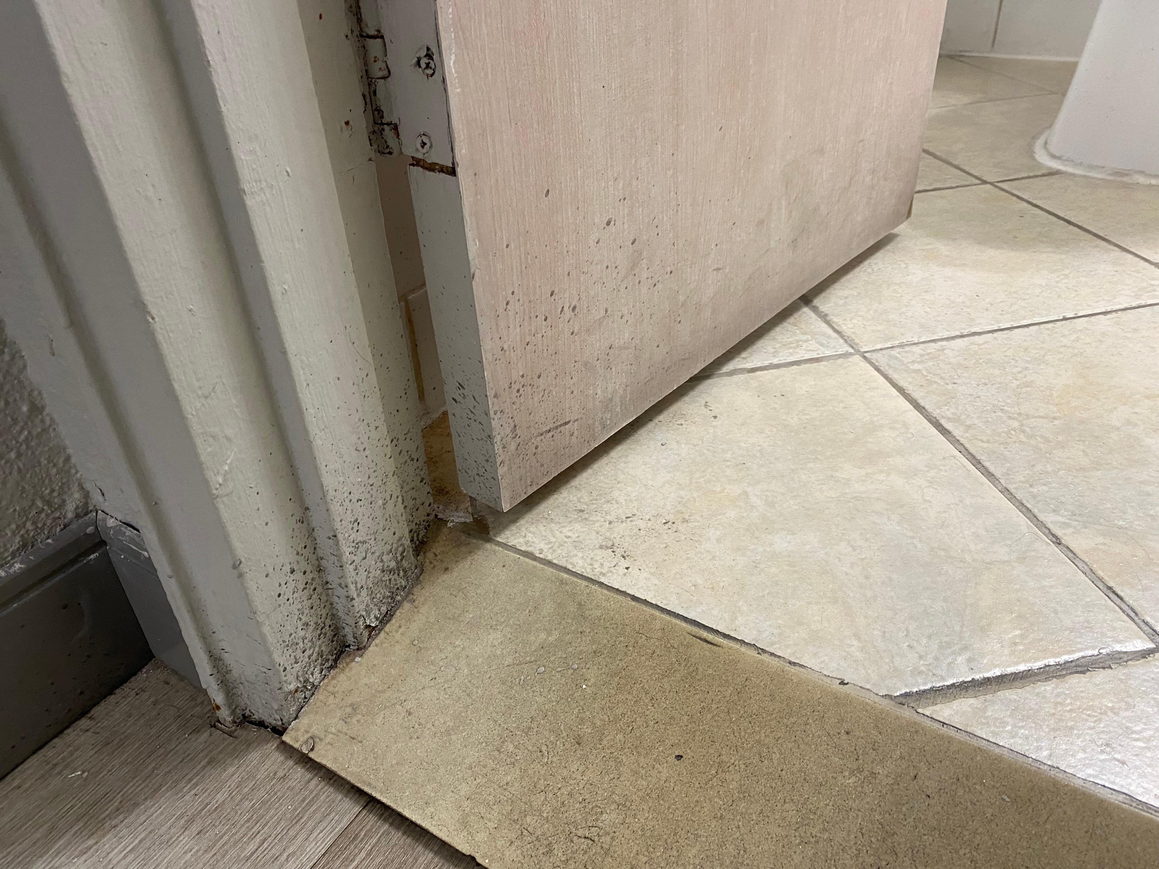 Mold on bathroom doorway and floor and walls