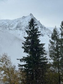 Vu du grand vitre de Salon