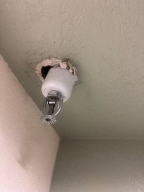 Holes in ceiling
