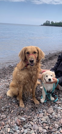 Pups at the lake!!