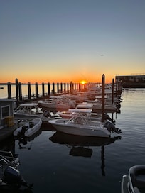 Harbor View