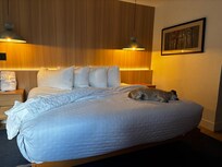 Lovely room