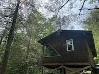 Our favorite spot in the morning explore behind cabin !