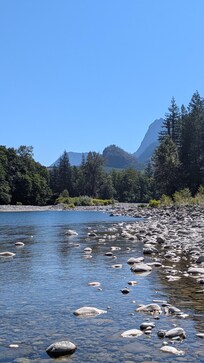 Down by the river