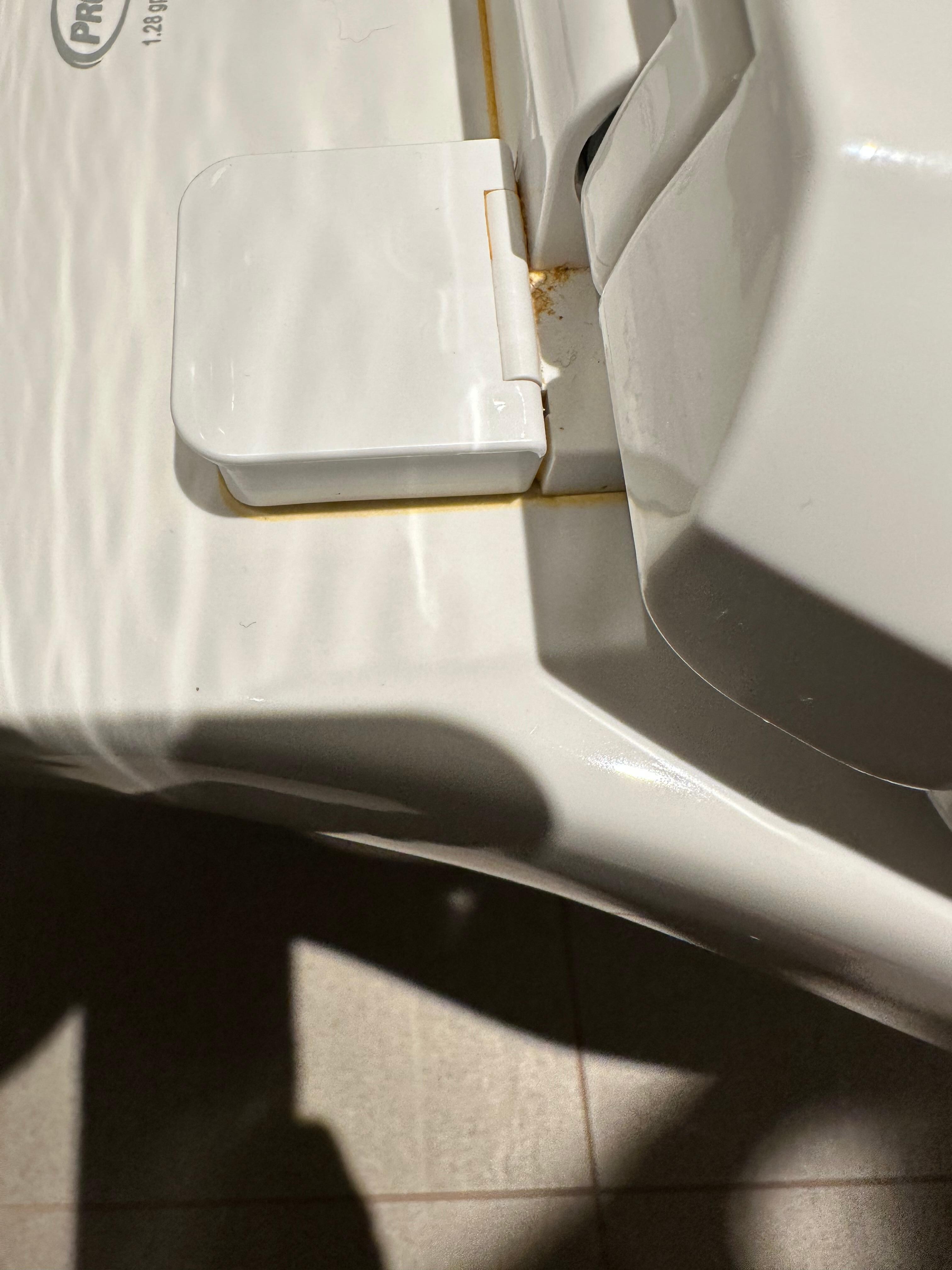 Urine on the toilet seat