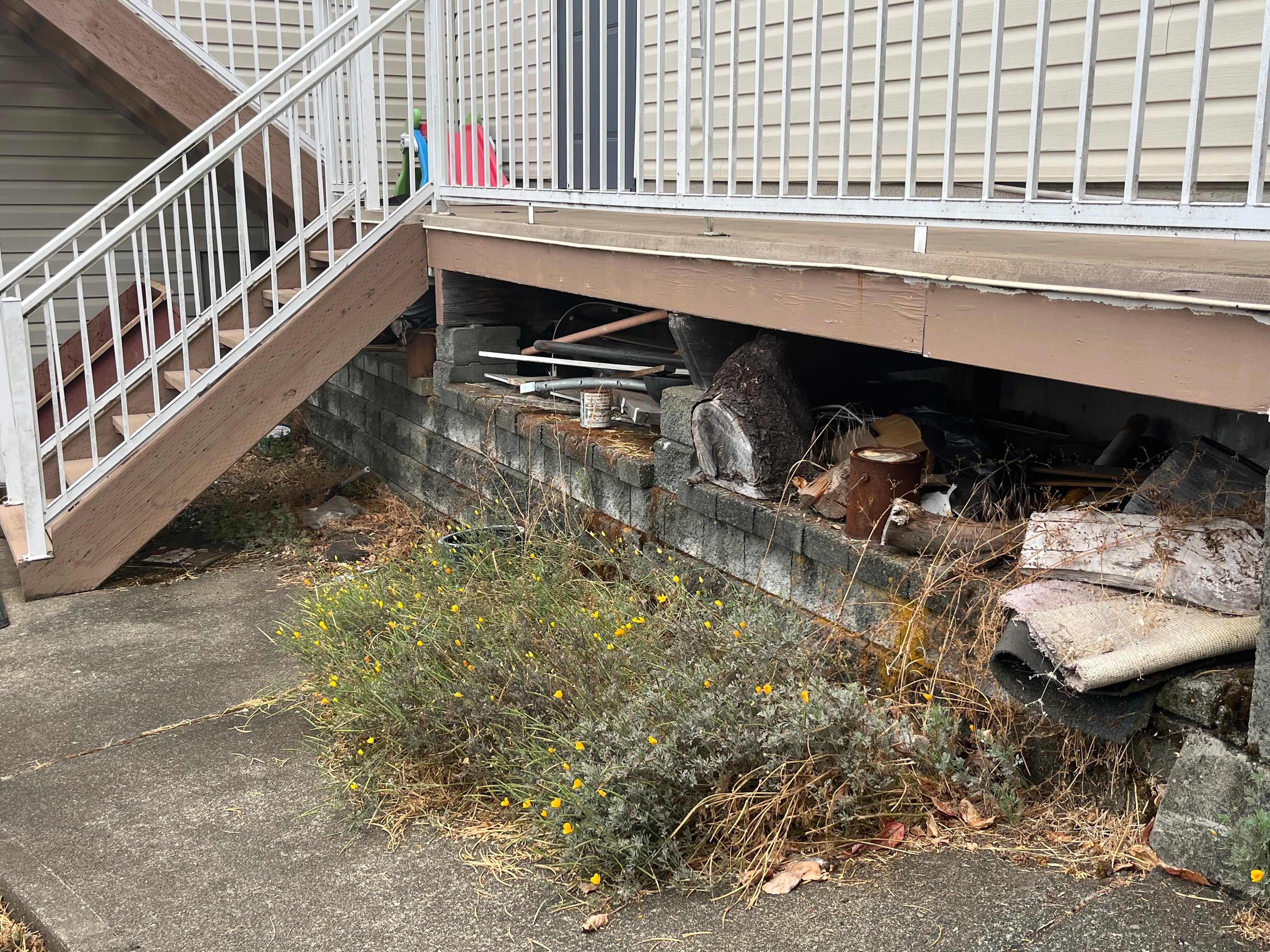 Some examples of random items around the yard.